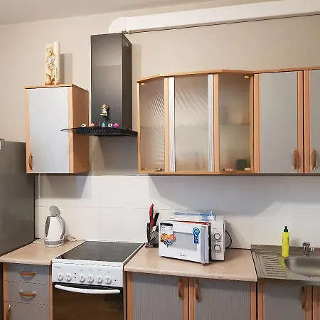 Olshevskogo Apartment *